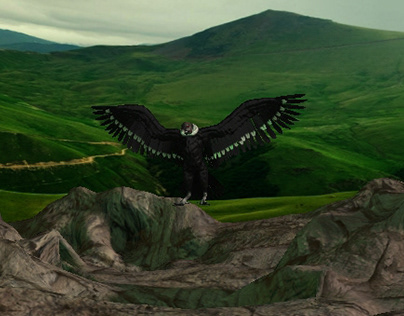 Condor de Los Andes (Personaje Animado)