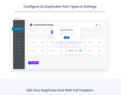 Duplicator Post Types