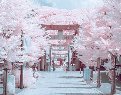 Infrared Photography of Dazaifu.