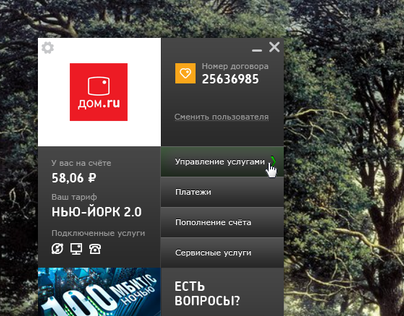 Desktop Applicaton for Dom.ru