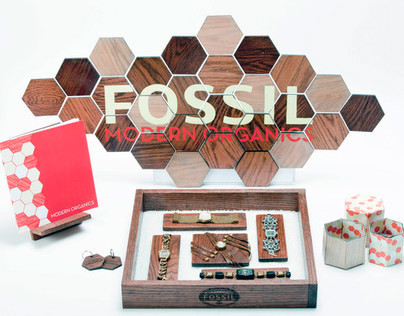 Fossil Watch Collaborative Class