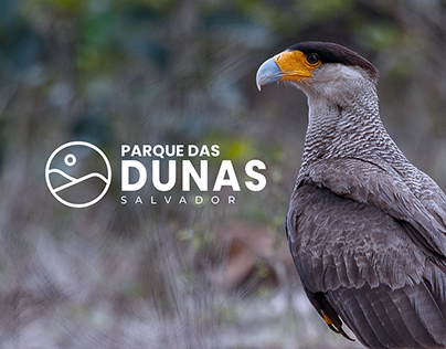 Project thumbnail - Parque das Dunas - Nature National Park