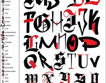 Anatomy of Uncommon Letter Forms