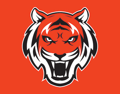 Fanart - Cincinnati Bengals New Logo