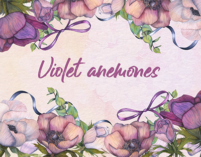 Violet Anemones
