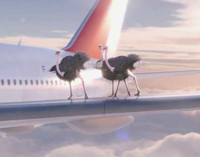 Airtel 4G Pocket WiFi Commercial-Ostriches