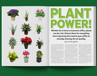 Plant Power Magazine Spread