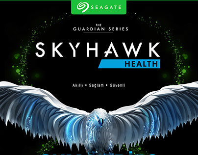 Seagate Skyhawk Health
