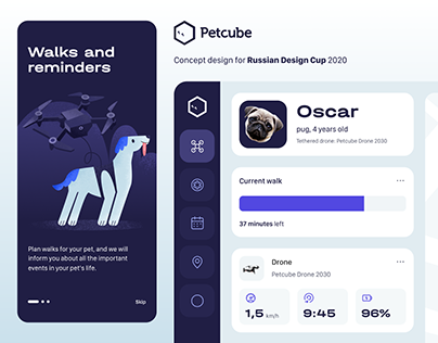 Petcube concept design for Russian Design Cup 2020