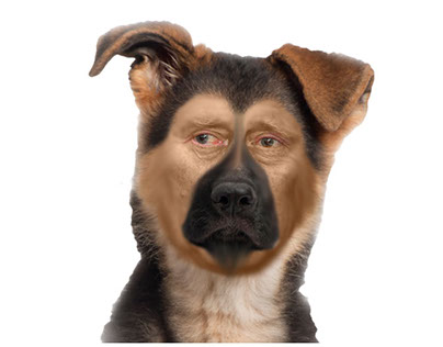 Prince Charles as a dog.