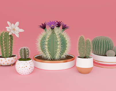 Cactus 3D Models