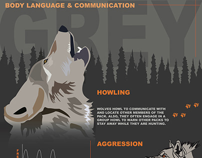 Infographic- Wolf