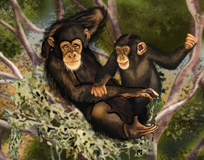 Chimpanzees in the Trees