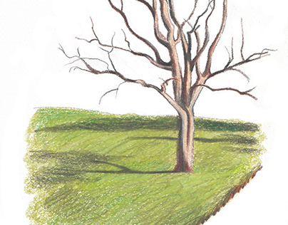 A Quaint Tree