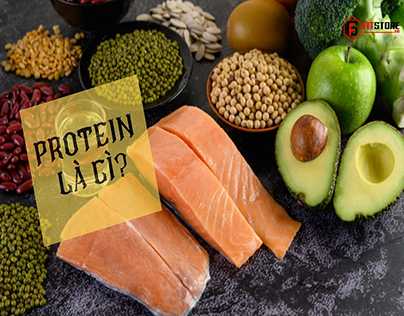 Protein là gì? Vai trò của protein đối với cơ bắp