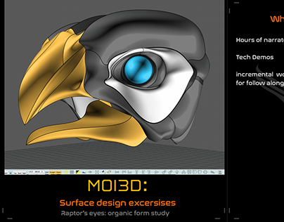 Moi3D surface design exercise: Falcon skull