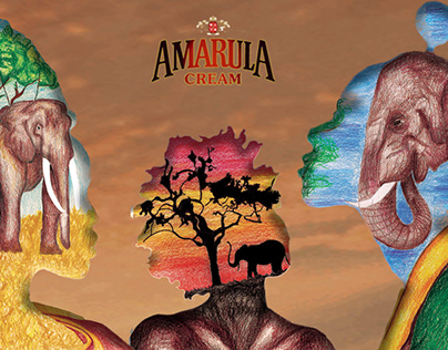 Reimagining an Iconic South African Product- Amarula