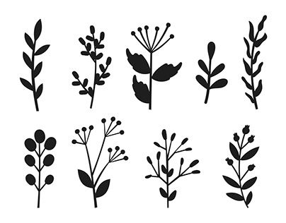 Floral Flowers silhouettes