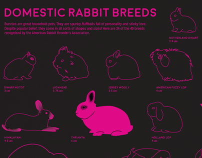 Domestic Rabbit Breeds