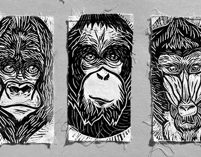 Xilografia "mandril-gorila-orangután"