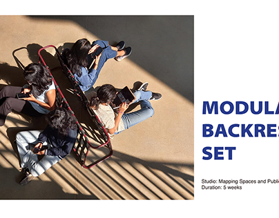 Modular Backrest Set