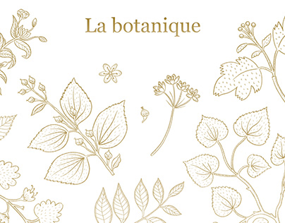 La botanique brand identity. Plants illustrations