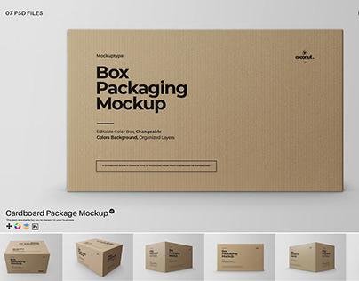 Cardboard Package Mockup