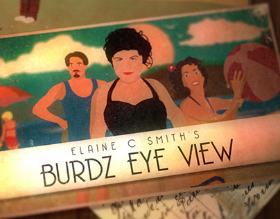 Burdz Eye View / STV