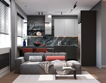Apartment for a single man in gray shades