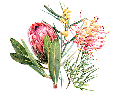 Mixed flower Botanical study