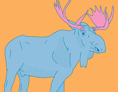 Moose illustration - 2