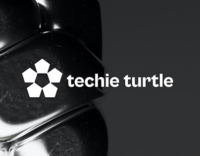 Techie Turtle