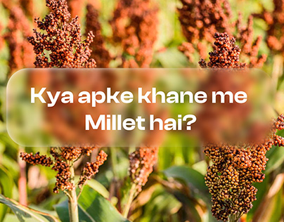 Reviving Millets: An Awareness Campaign