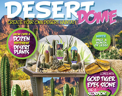 Desert Dome Terrarium Kit