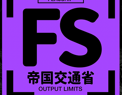 OUTPUT LIMITS DECAL | TYPE FS | ENDERPOP