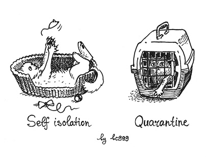 Self isolation VS quarantine
