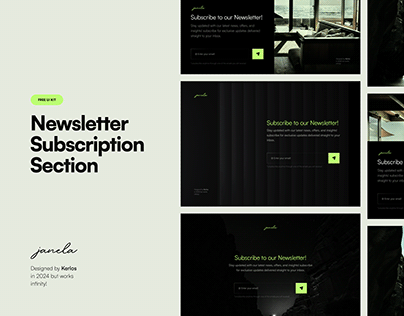 Freebie - Newsletter Subscription Section