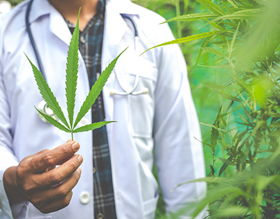 Future of Cannabis in Pharma