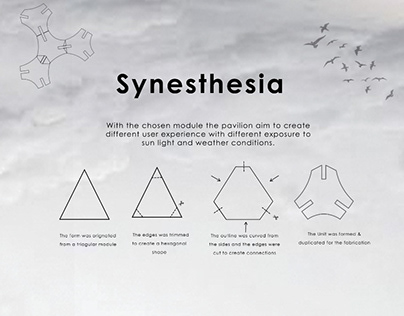 Synesthesia Pavilion