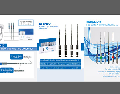Brochure Endostar File