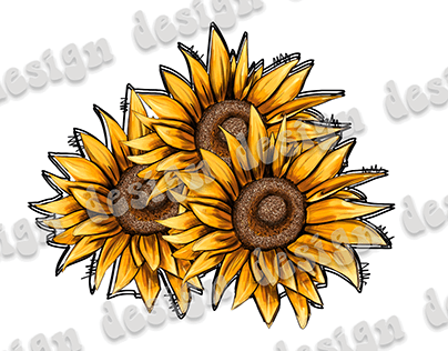 Sunflower Doodle