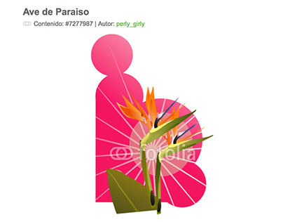 Contributor for Fotolia - Illustration Ave de Paraiso