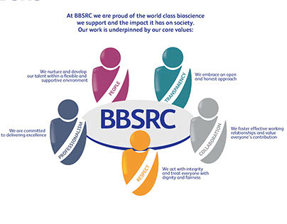 BBSRC Core Values Visualisation