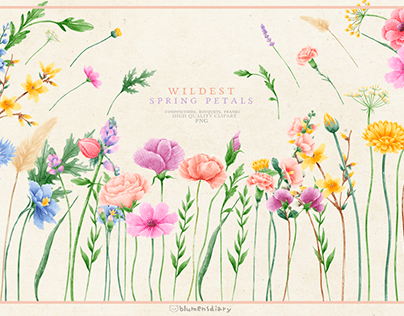Watercolor Wildflower Collection