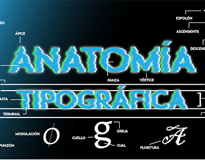 Infografía sobre la anatomía tipográfica
