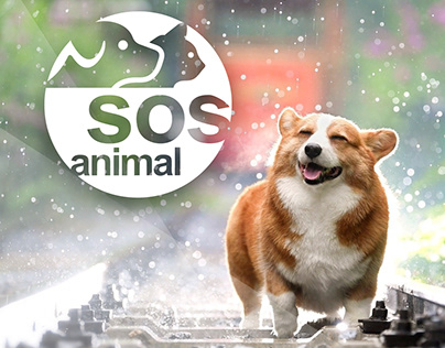 SOS Animal - Social Media