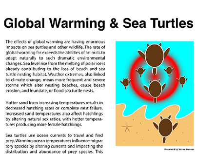 Editorial Design (Sea Turtles)