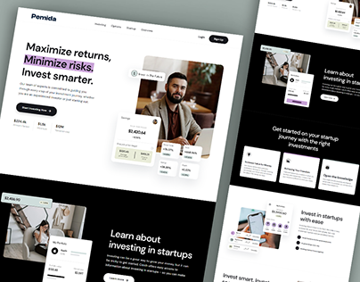 Pemida - Startup Investing Website Design / UI Design