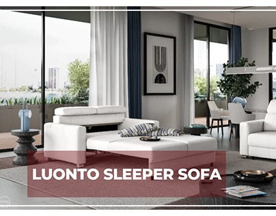 Shop Luonto Sleepr Sofa from Sofabed