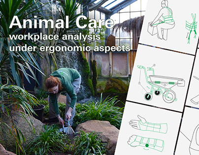 Project thumbnail - Tierpflege – ergonomische Analyse